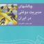 PDF کتاب چالش های مدیریت دولتی ایران- دانایی فرد